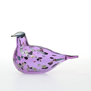 Birds Amethyst bird 0879