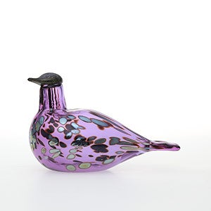 Birds Amethyst bird 0880