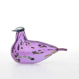 Birds Amethyst bird 0881