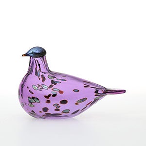 Birds Amethyst bird 0882