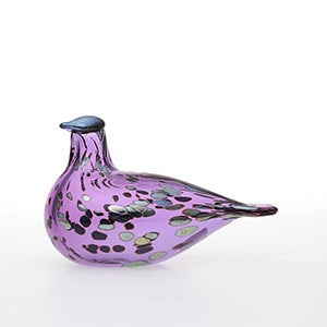 Birds Amethyst bird 0883