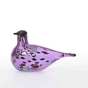 Birds Amethyst bird 0884