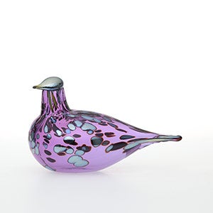 Birds Amethyst bird 0885