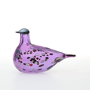 Birds Amethyst bird 0887