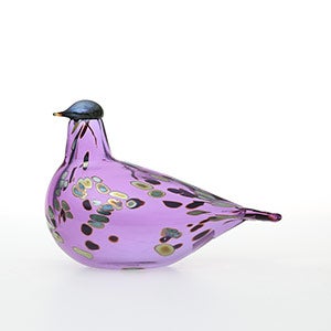Birds Amethyst bird 0889