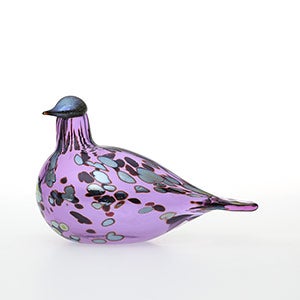 Birds Amethyst bird 0890