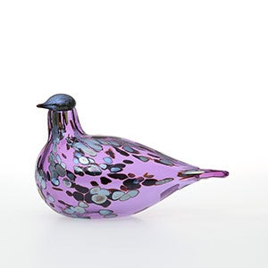 Birds Amethyst bird 0891