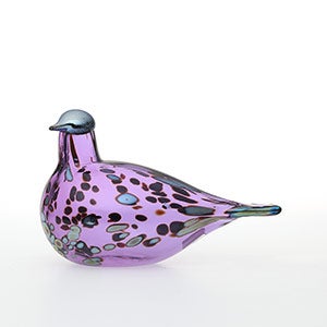 Birds Amethyst bird 0892