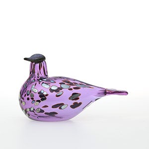 Birds Amethyst bird 0893
