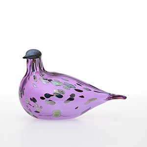 Birds Amethyst bird 0894