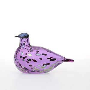Birds Amethyst bird 0895