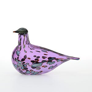 Birds Amethyst bird 0896