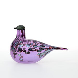 Birds Amethyst bird 0898