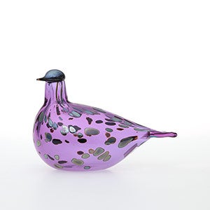 Birds Amethyst bird 0900