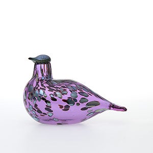 Birds Amethyst bird 0901