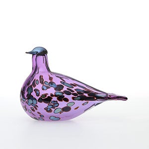 Birds Amethyst bird 0902