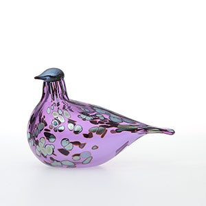 Birds Amethyst bird 0903