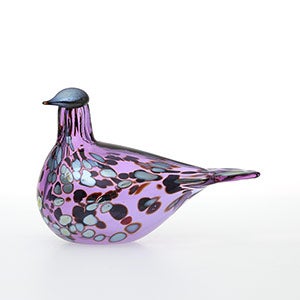 Birds Amethyst bird 0904