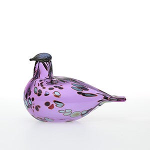 Birds Amethyst bird 0905