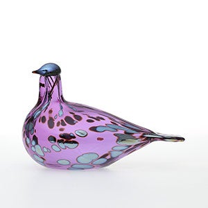 Birds Amethyst bird 0907