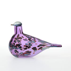 Birds Amethyst bird 0910