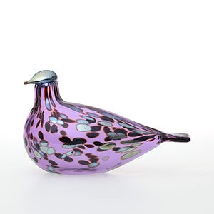 Birds Amethyst bird 0911