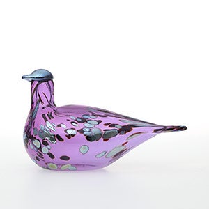 Birds Amethyst bird 0912