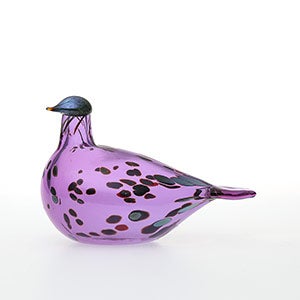 Birds Amethyst bird 0915