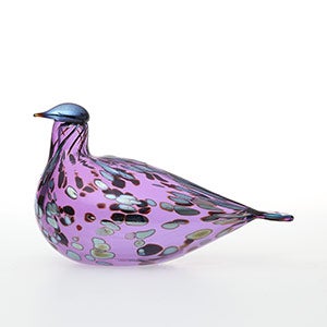 Birds Amethyst bird 0918