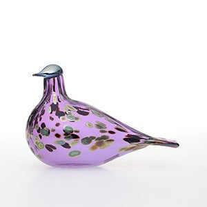 Birds Amethyst bird 0919