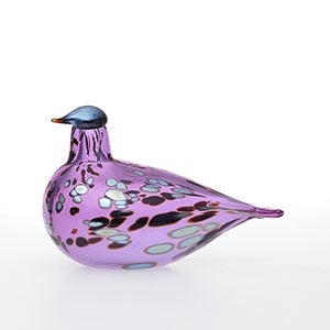 Birds Amethyst bird 0921