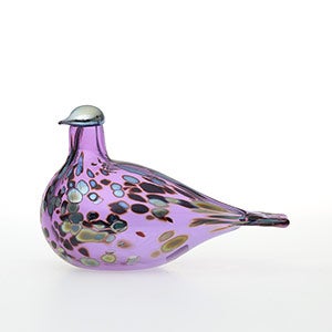 Birds Amethyst bird 0922