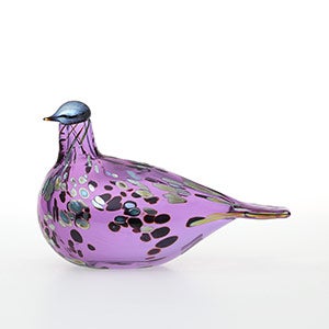 Birds Amethyst bird 0924