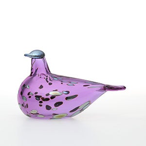 Birds Amethyst bird 0925