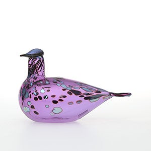 Birds Amethyst bird 0928