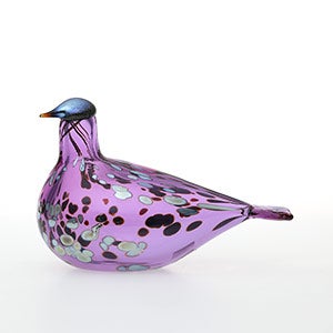 Birds Amethyst bird 0929