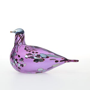 Birds Amethyst bird 0930