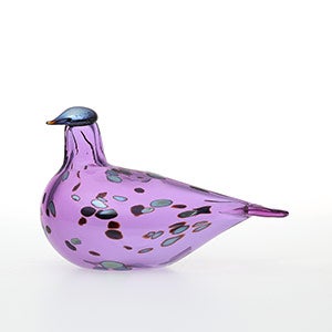 Birds Amethyst bird 0931