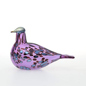 Birds Amethyst bird 0933