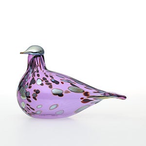 Birds Amethyst bird 0934