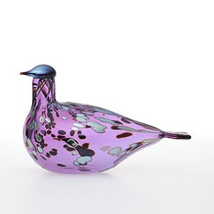 Birds Amethyst bird 0935