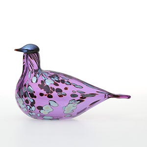 Birds Amethyst bird 0937