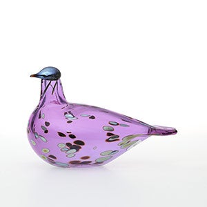 Birds Amethyst bird 0939
