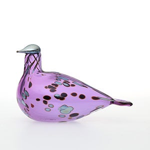 Birds Amethyst bird 0940