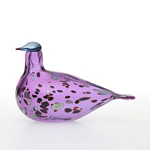 Birds Amethyst bird 0941