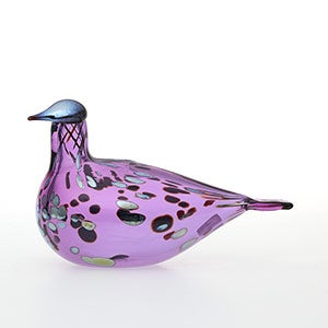 Birds Amethyst bird 0944