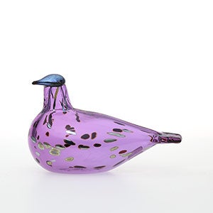 Birds Amethyst bird 0945