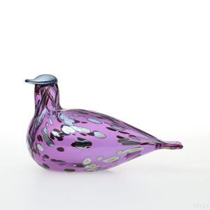 Birds Amethyst bird 0946