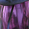 Birds Amethyst bird 252