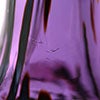 Birds Amethyst bird 257